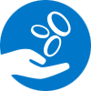 Salary icon